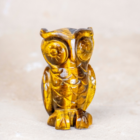 Tiger Eye Owl