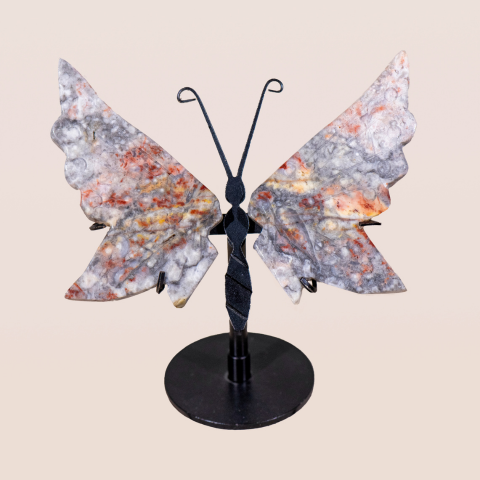 Crazy Lace Agate Butterfly Wings