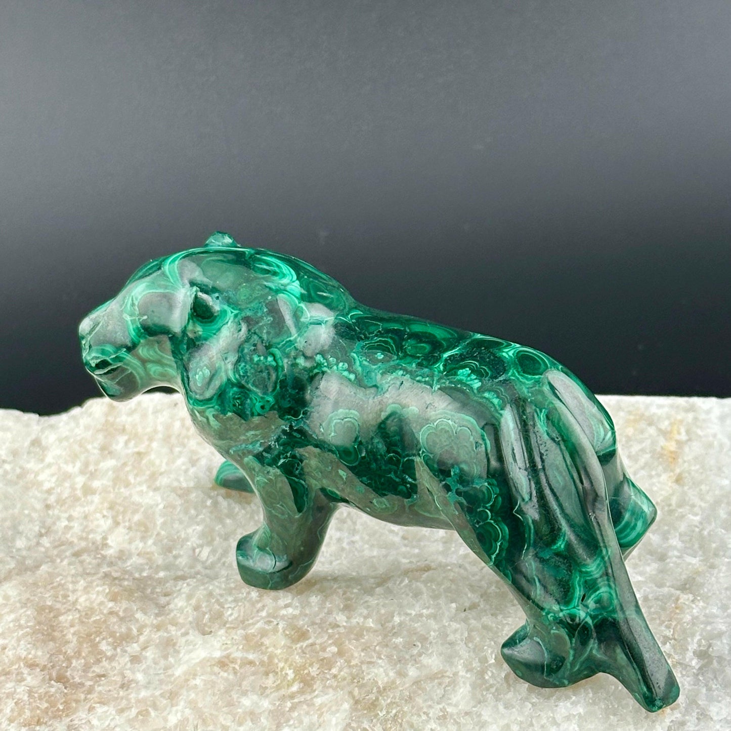 Malachite Lion - Lioness